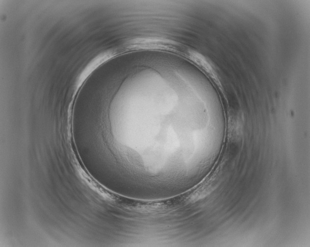 X0000068321386200604241327