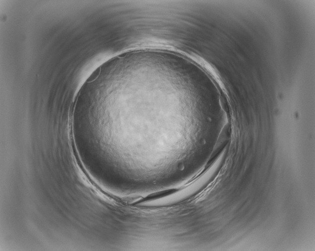X0000068321390200604241327