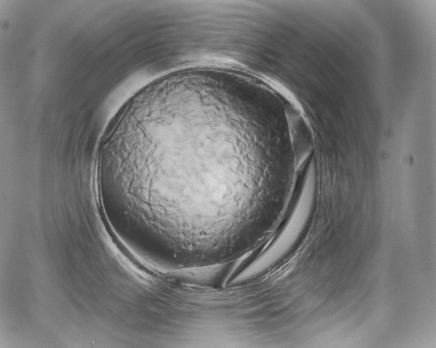 X0000068321391200604241327