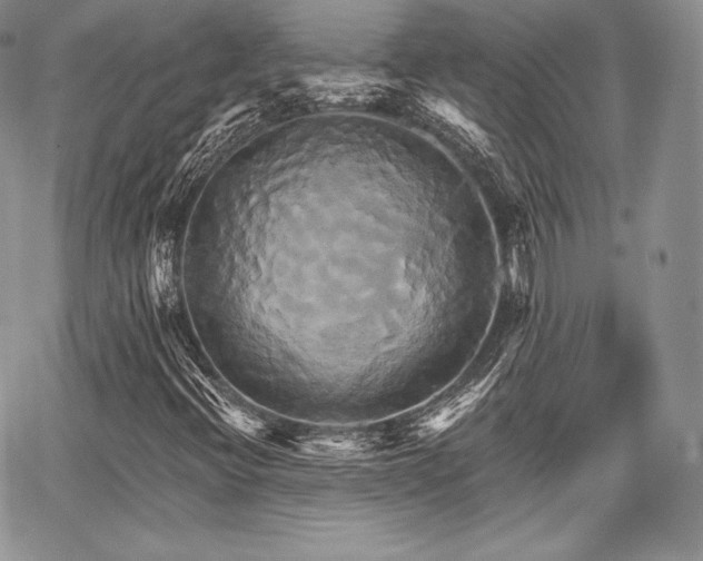 X0000068321396200604241326