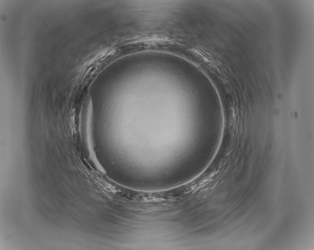 X0000068321398200604241326