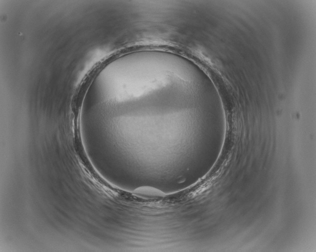 X0000068321408200604241327