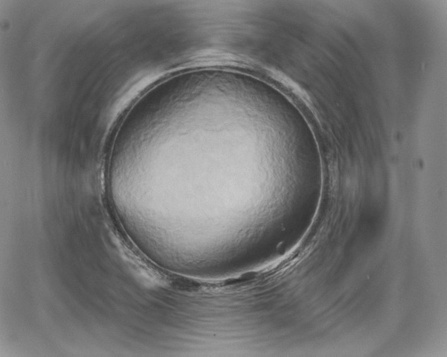 X0000068321415200604241327