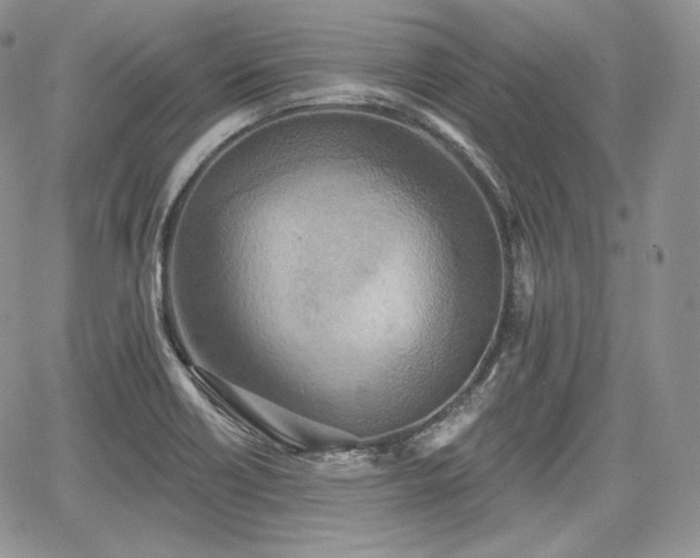 X0000068321418200604241327