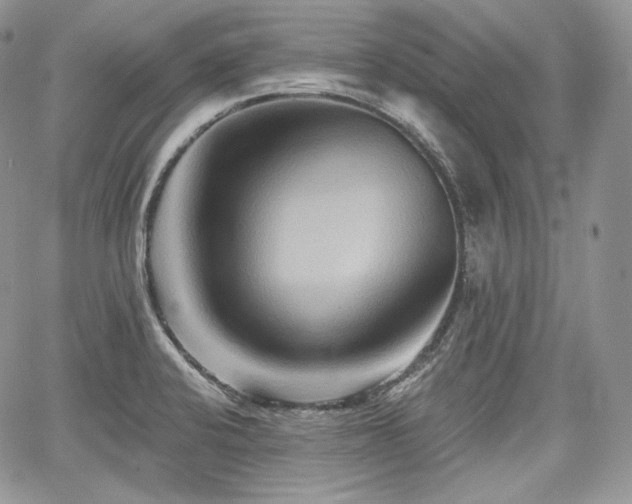 X0000068321424200604241327