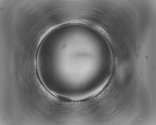 X0000068321428200604241327