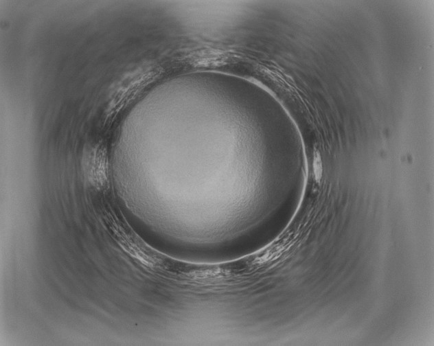 X0000068321444200604241326