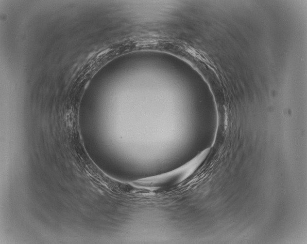 X0000068321445200604241326
