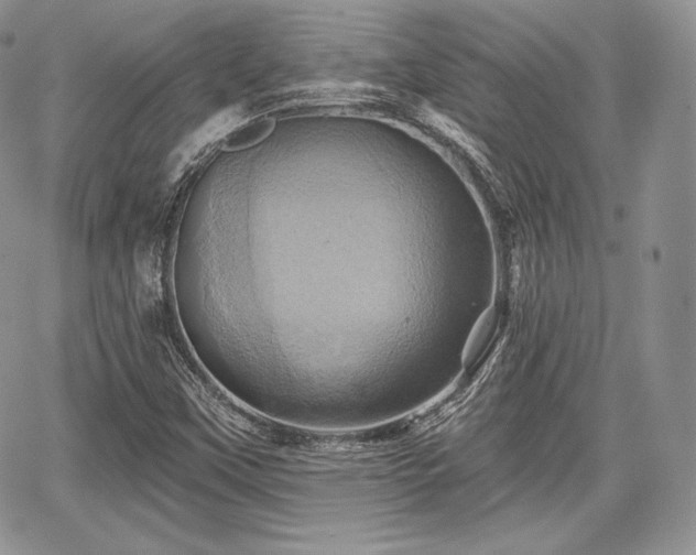 X0000068321451200604241326