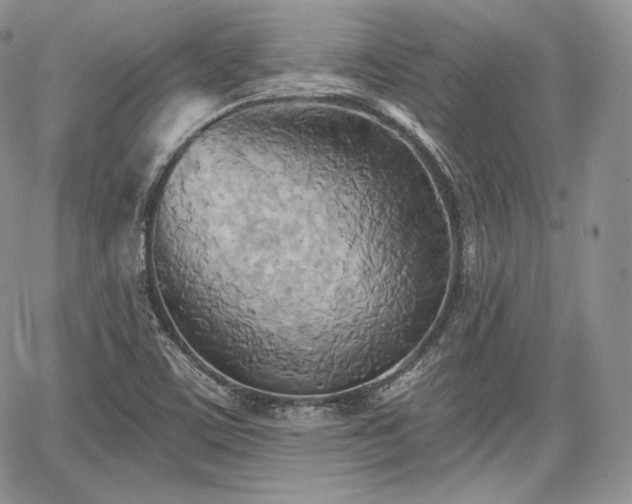X0000068321459200604241326