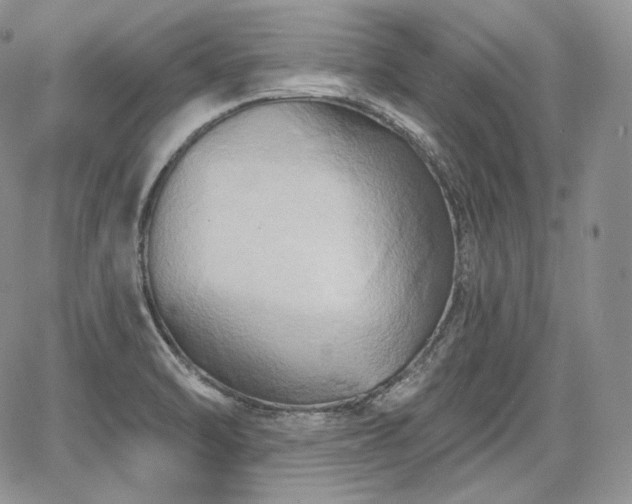 X0000068321470200604241326
