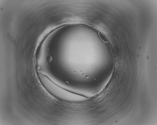 X0000068321472200604241326
