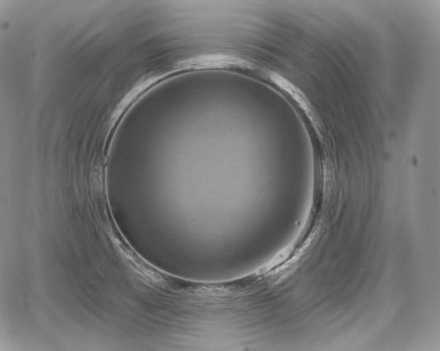X0000068321473200604241326