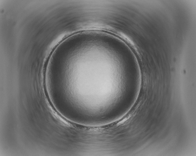 X0000068321480200604241326