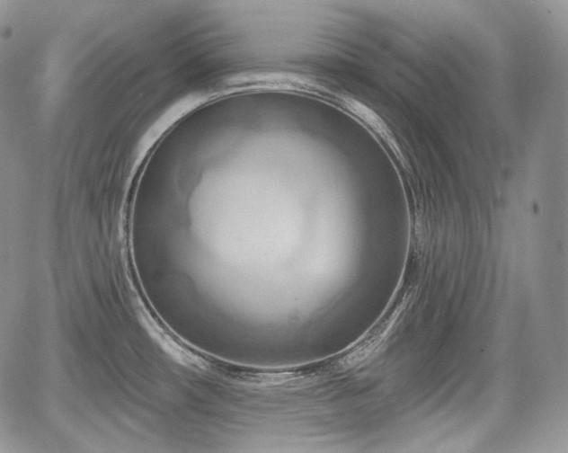 X0000068321482200604241326