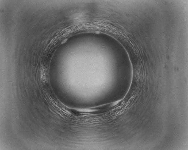 X0000068321490200604241325