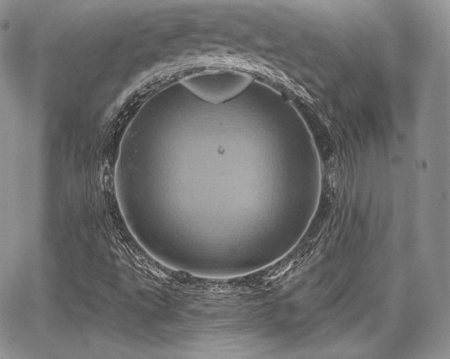 X0000068321495200604241325