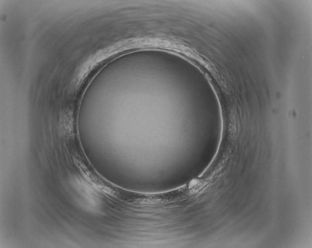 X0000068321499200604241325