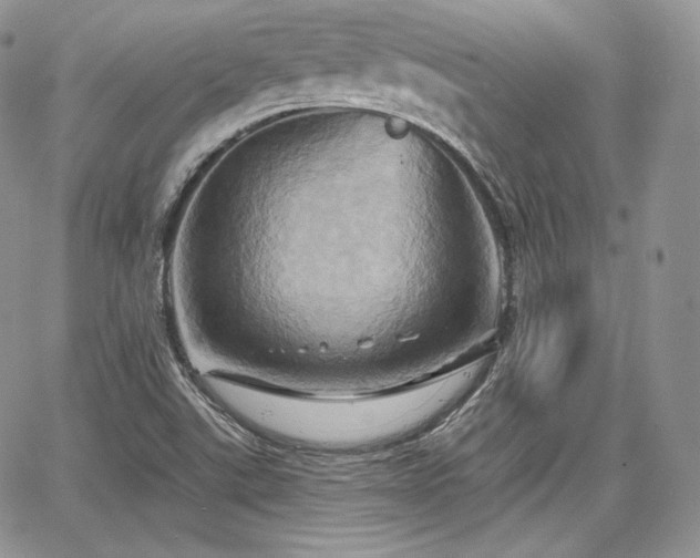 X0000068321507200604241325