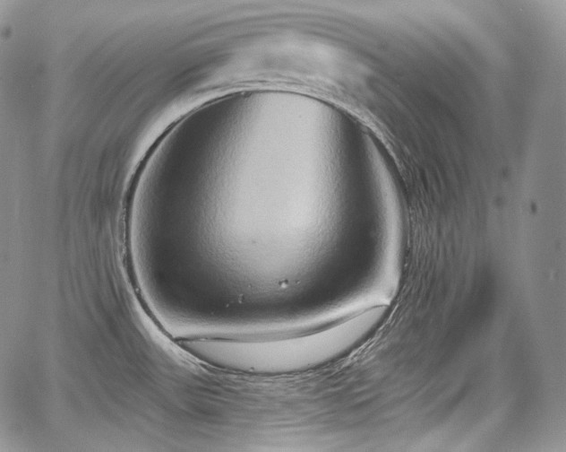 X0000068321531200604241325