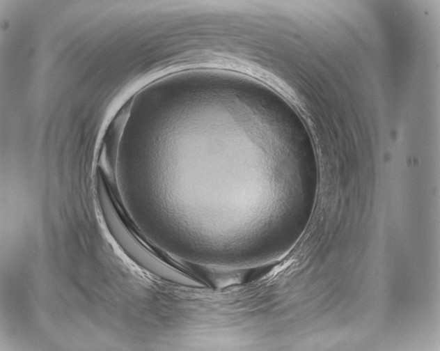 X0000068321536200604241325