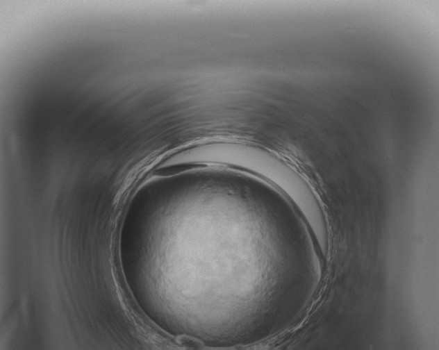 X0000068320001200604281813