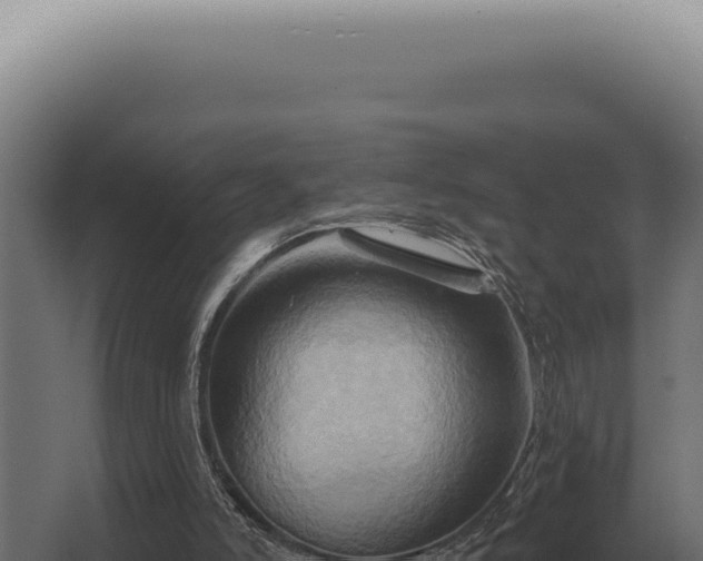 X0000068320006200604281813