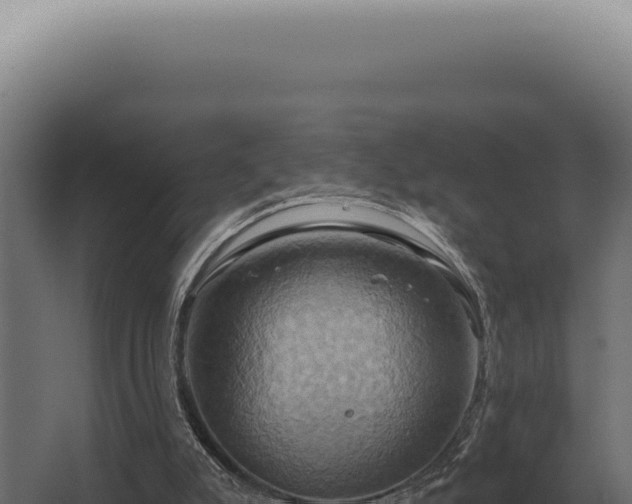 X0000068320007200604281813