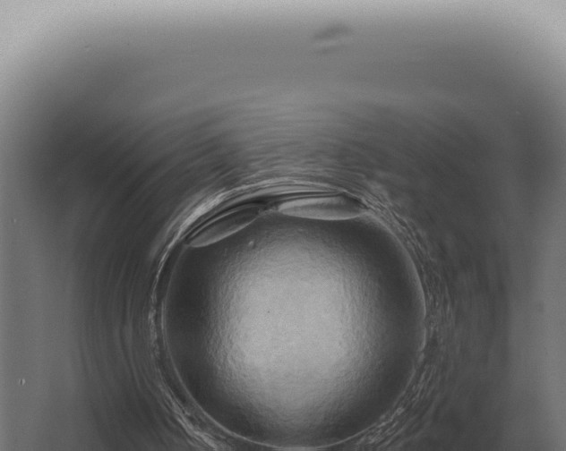 X0000068320050200604281812