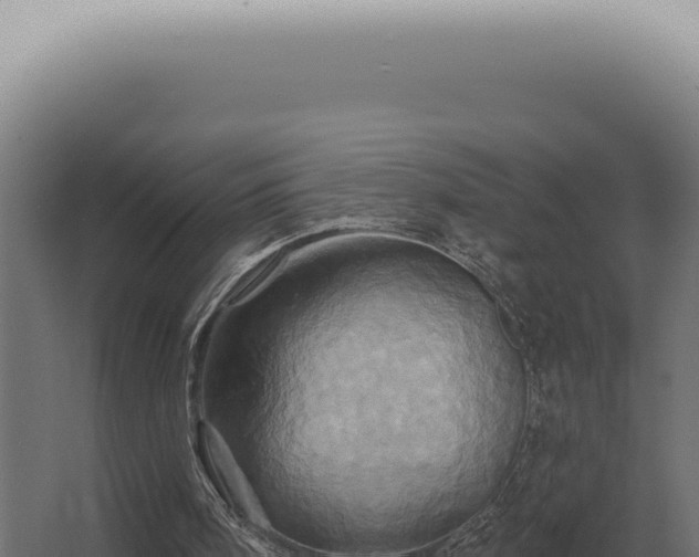 X0000068320098200604281812