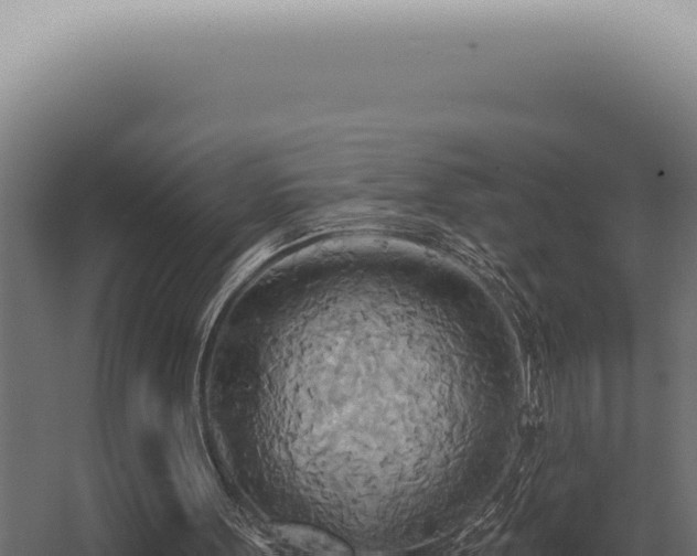 X0000068320099200604281812
