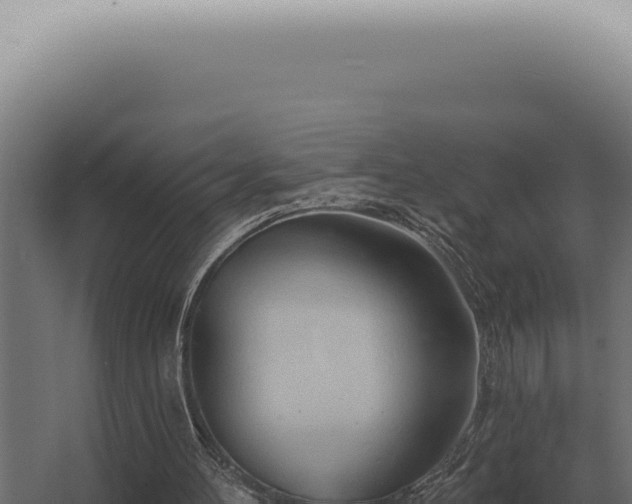X0000068320100200604281812