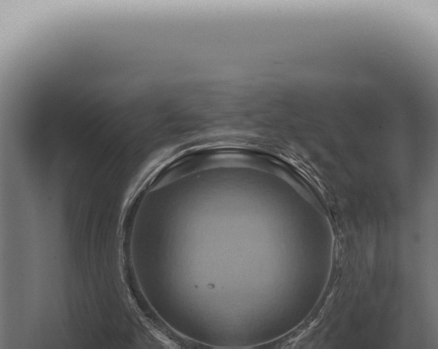 X0000068320101200604281812