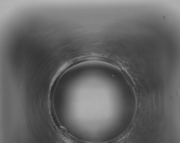 X0000068320102200604281812