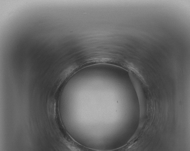 X0000068320110200604281812