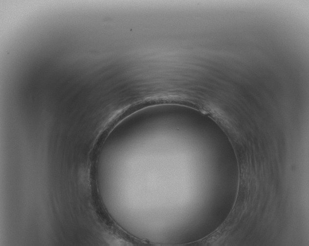 X0000068320112200604281812