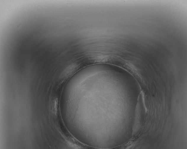 X0000068320118200604281811