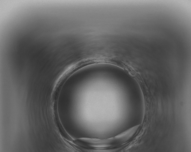 X0000068320197200604281810