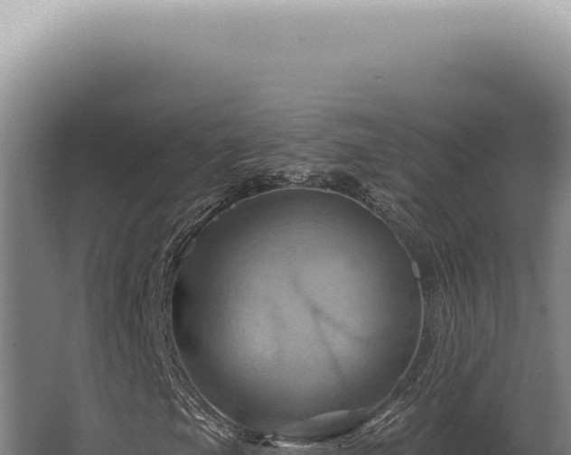 X0000068321105200604281754