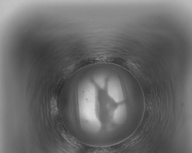 X0000068321106200604281754