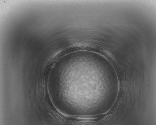 X0000068321111200604281754