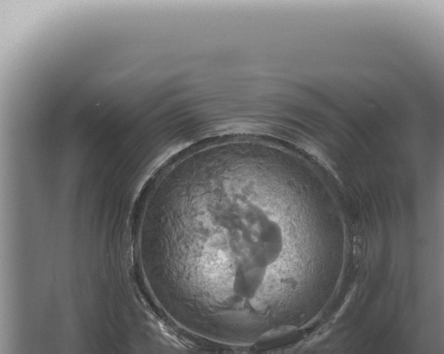 X0000068321117200604281754