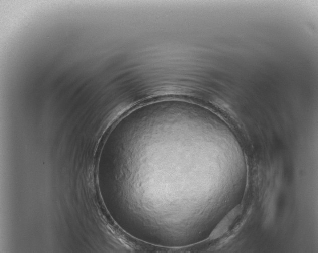 X0000068321121200604281754