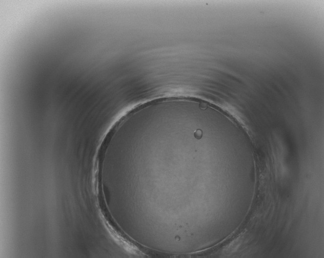 X0000068321126200604281754