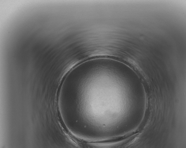 X0000068321129200604281754