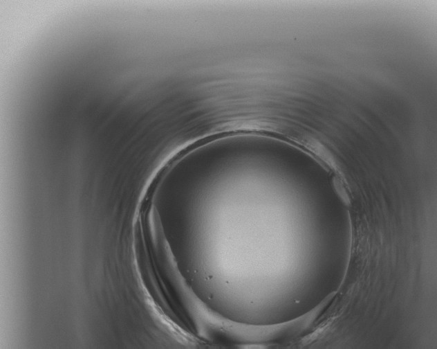 X0000068321132200604281754