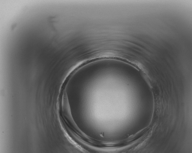 X0000068321134200604281754