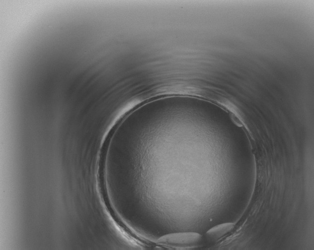 X0000068321139200604281754