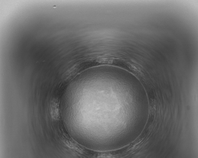 X0000068321154200604281754