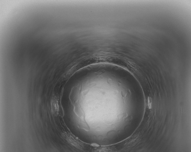 X0000068321155200604281754